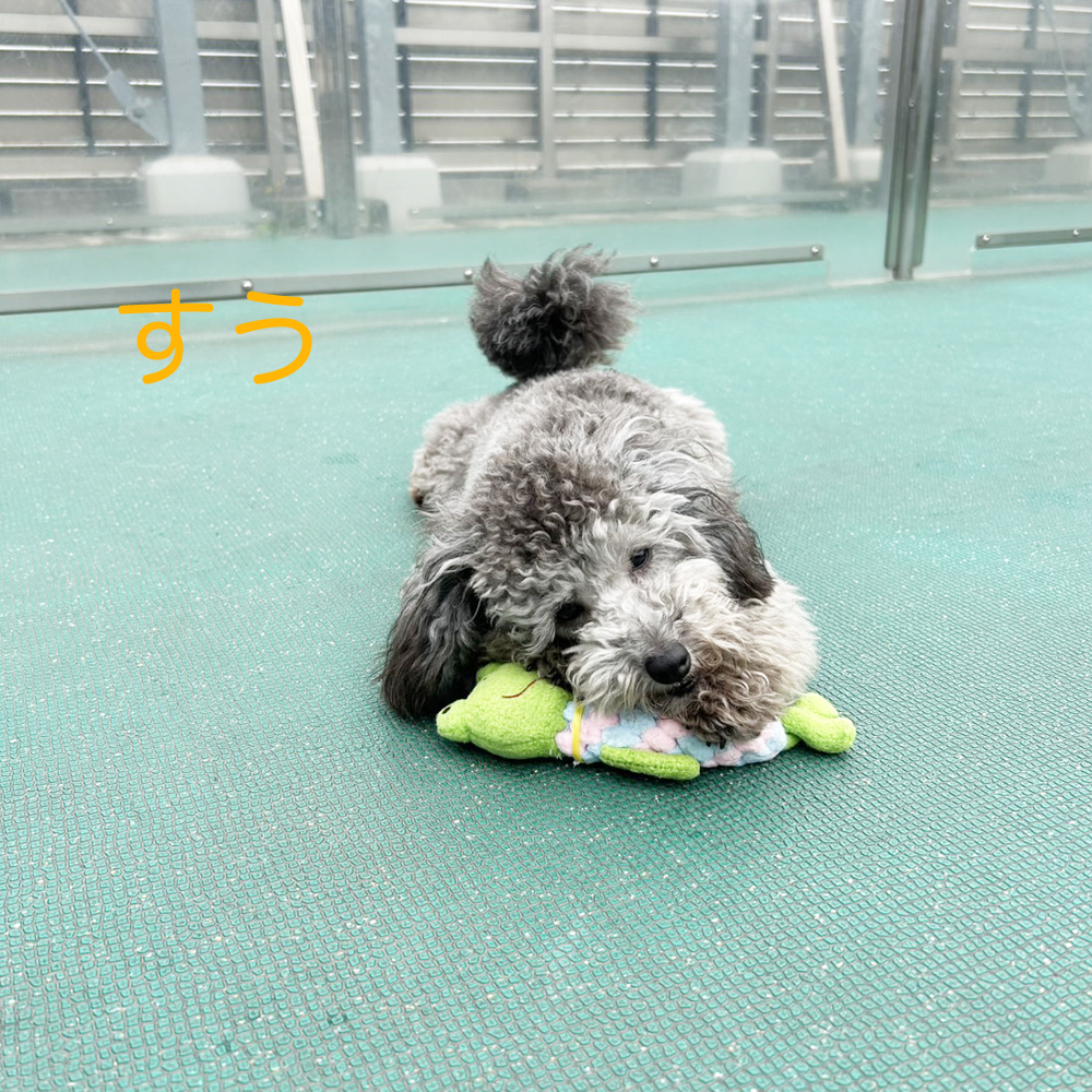 kBeʐ^@